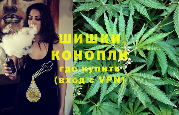мет Пересвет