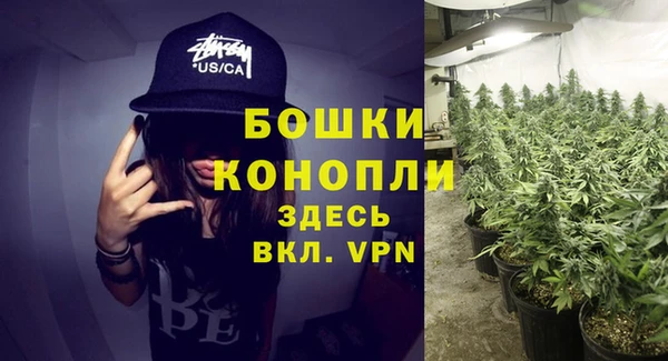мет Пересвет