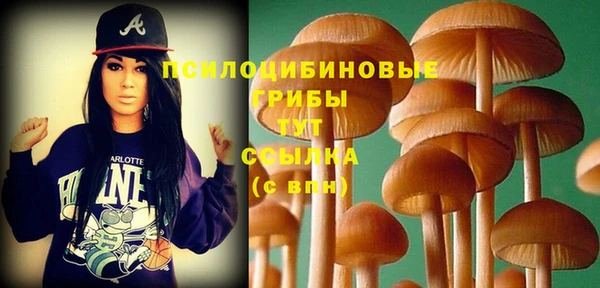 первитин Переславль-Залесский
