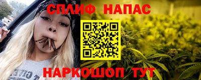 стафф Краснодар