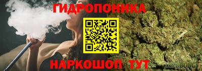 PSILOCYBIN Краснознаменск