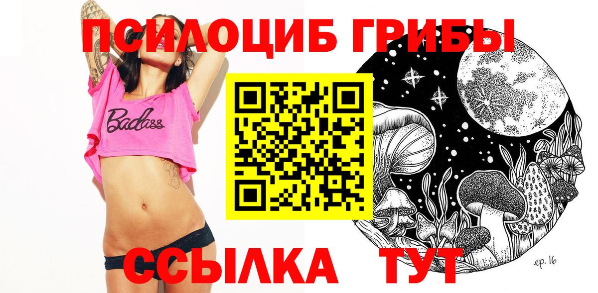 дарнет шоп  Вход с VPN  Санкт-Петербург  Галлюциногенные грибы мицелий 